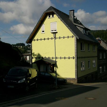 Ferienwohnung Klaus Im Tal Der Steinach Steinach  Esterno foto