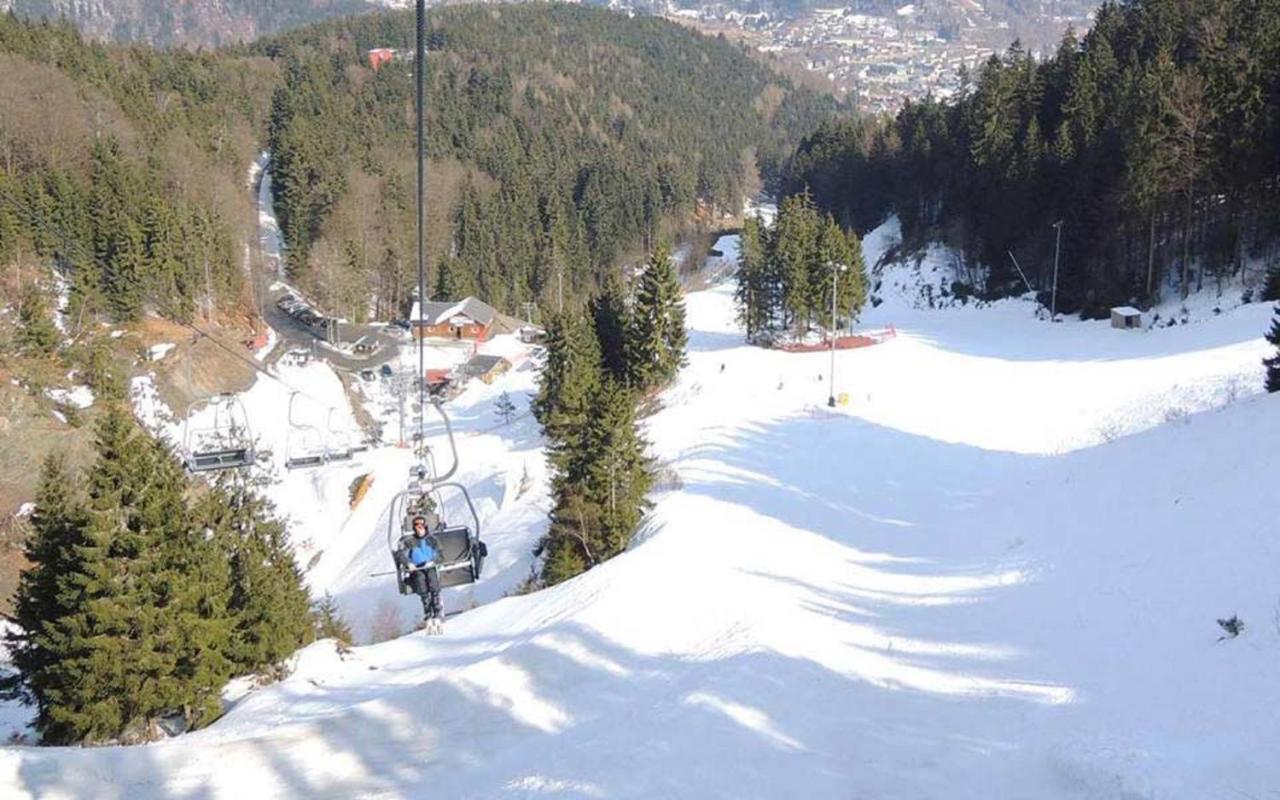 Ferienwohnung Klaus Im Tal Der Steinach Steinach  Esterno foto