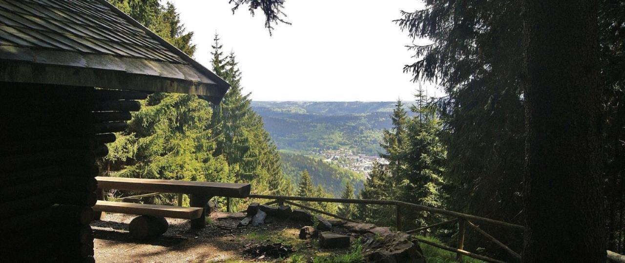 Ferienwohnung Klaus Im Tal Der Steinach Steinach  Esterno foto