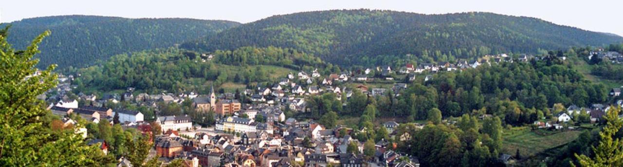 Ferienwohnung Klaus Im Tal Der Steinach Steinach  Esterno foto